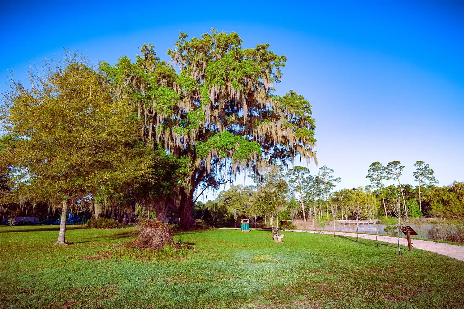 Pedrick Pond Park Park Index